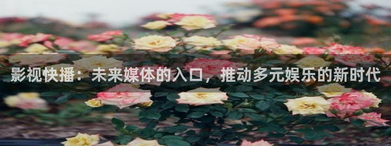 小小影视大全高清版