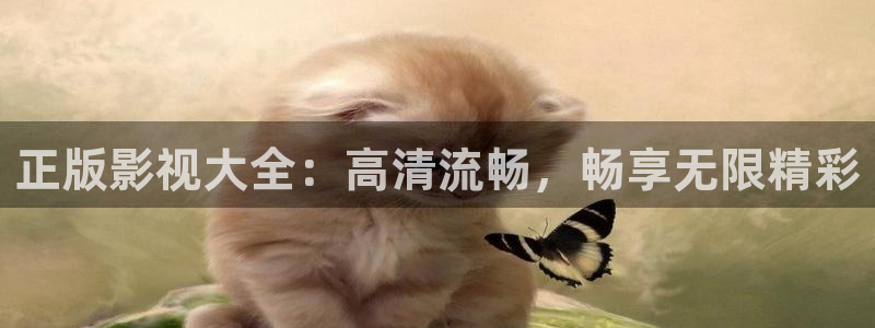 小小影视电脑版