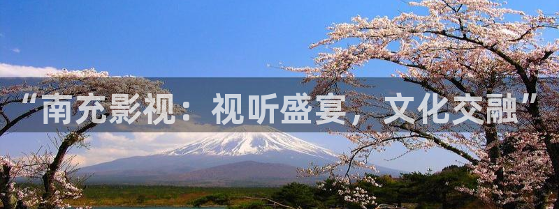 小小影视大