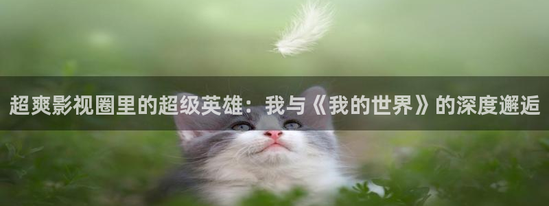 小小影音在线