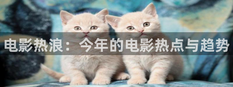 小小影视电脑版叫什么