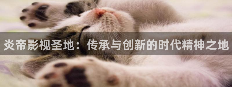 小小影视最新网址