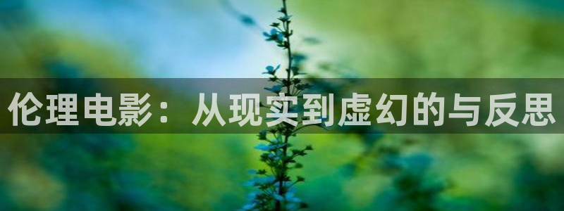 小小影视大全苹果
