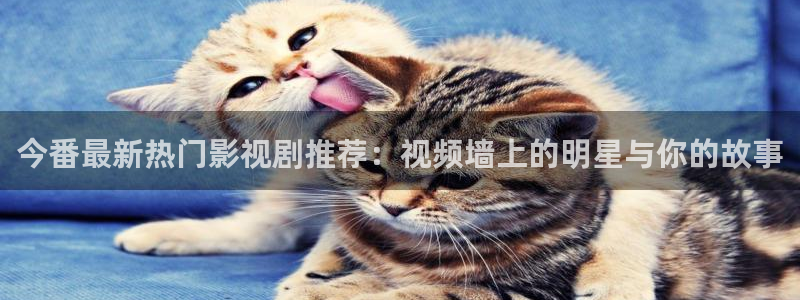 小小影视官方正版网址